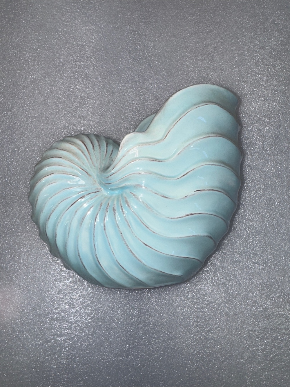 Ceramic Nautilus Wall Art - Seafoam Blue Decorative Accent